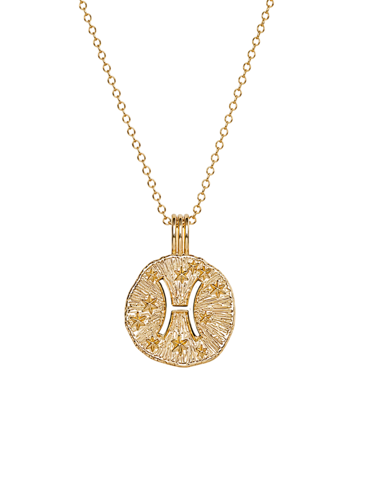 Sun in pisces necklace - 22k gold vermeil
